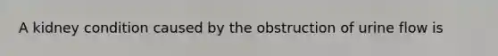 A kidney condition caused by the obstruction of urine flow is
