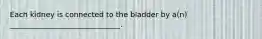 Each kidney is connected to the bladder by a(n) ______________________________.