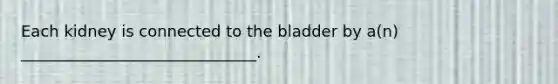 Each kidney is connected to the bladder by a(n) ______________________________.