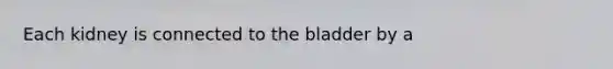 Each kidney is connected to the bladder by a