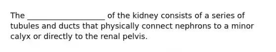 The ____________________ of the kidney consists of a series of tubules and ducts that physically connect nephrons to a minor calyx or directly to the renal pelvis.