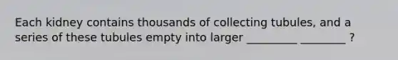 Each kidney contains thousands of collecting tubules, and a series of these tubules empty into larger _________ ________ ?