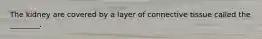 The kidney are covered by a layer of connective tissue called the ________.