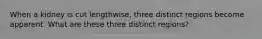 When a kidney is cut lengthwise, three distinct regions become apparent. What are these three distinct regions?