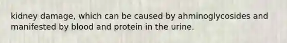 kidney damage, which can be caused by ahminoglycosides and manifested by blood and protein in the urine.