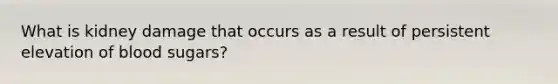 What is kidney damage that occurs as a result of persistent elevation of blood sugars?
