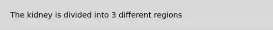 The kidney is divided into 3 different regions