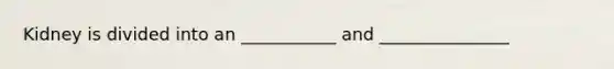 Kidney is divided into an ___________ and _______________