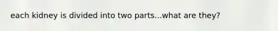 each kidney is divided into two parts...what are they?