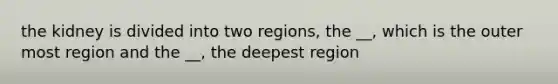 the kidney is divided into two regions, the __, which is the outer most region and the __, the deepest region