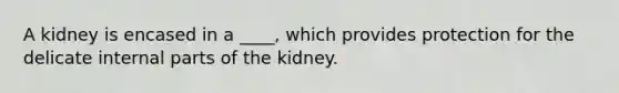 A kidney is encased in a ____, which provides protection for the delicate internal parts of the kidney.