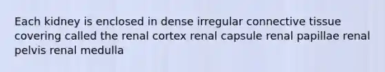 Each kidney is enclosed in dense irregular connective tissue covering called the renal cortex renal capsule renal papillae renal pelvis renal medulla