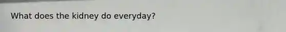 What does the kidney do everyday?