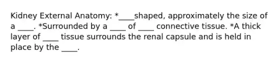 Kidney External Anatomy: *____shaped, approximately the size of a ____. *Surrounded by a ____ of ____ <a href='https://www.questionai.com/knowledge/kYDr0DHyc8-connective-tissue' class='anchor-knowledge'>connective tissue</a>. *A thick layer of ____ tissue surrounds the renal capsule and is held in place by the ____.