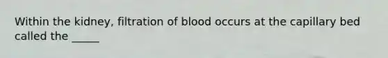 Within the kidney, filtration of blood occurs at the capillary bed called the _____