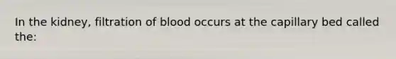 In the kidney, filtration of blood occurs at the capillary bed called the: