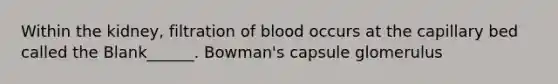 Within the kidney, filtration of blood occurs at the capillary bed called the Blank______. Bowman's capsule glomerulus