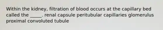 Within the kidney, filtration of blood occurs at the capillary bed called the _____. renal capsule peritubular capillaries glomerulus proximal convoluted tubule