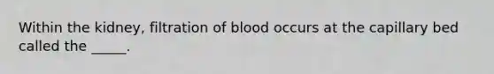 Within the kidney, filtration of blood occurs at the capillary bed called the _____.