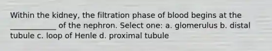 Within the kidney, the filtration phase of blood begins at the ____________ of the nephron. Select one: a. glomerulus b. distal tubule c. loop of Henle d. proximal tubule