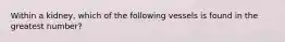 Within a kidney, which of the following vessels is found in the greatest number?