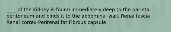 ____ of the kidney is found immediately deep to the parietal peritoneum and binds it to the abdominal wall. Renal fascia Renal cortex Perirenal fat Fibrous capsule