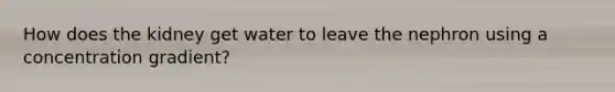 How does the kidney get water to leave the nephron using a concentration gradient?