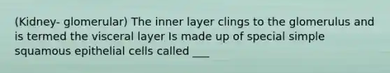 (Kidney- glomerular) The inner layer clings to the glomerulus and is termed the visceral layer Is made up of special simple squamous epithelial cells called ___