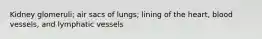 Kidney glomeruli; air sacs of lungs; lining of the heart, blood vessels, and lymphatic vessels