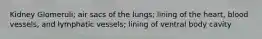 Kidney Glomeruli; air sacs of the lungs; lining of the heart, blood vessels, and lymphatic vessels; lining of ventral body cavity