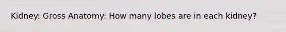 Kidney: Gross Anatomy: How many lobes are in each kidney?