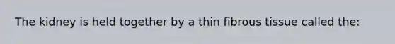 The kidney is held together by a thin fibrous tissue called the: