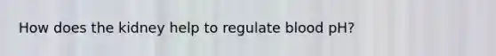 How does the kidney help to regulate blood pH?
