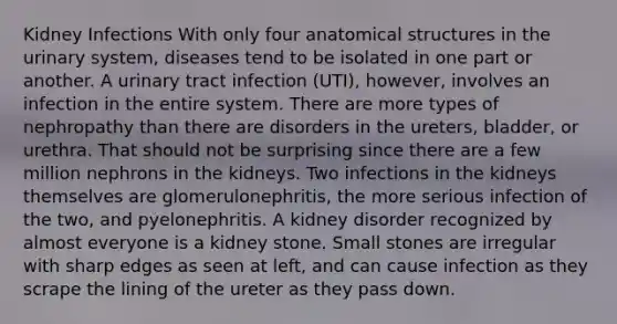 Kidney Infections With only four anatomical structures in the urinary system, diseases tend to be isolated in one part or another. A urinary tract infection (UTI), however, involves an infection in the entire system. There are more types of nephropathy than there are disorders in the ureters, bladder, or urethra. That should not be surprising since there are a few million nephrons in the kidneys. Two infections in the kidneys themselves are glomerulonephritis, the more serious infection of the two, and pyelonephritis. A kidney disorder recognized by almost everyone is a kidney stone. Small stones are irregular with sharp edges as seen at left, and can cause infection as they scrape the lining of the ureter as they pass down.