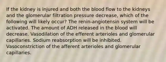 If the kidney is injured and both the blood flow to the kidneys and the glomerular filtration pressure decrease, which of the following will likely occur? The renin-angiotensin system will be activated. The amount of ADH released in the blood will decrease. Vasodilation of the efferent arterioles and glomerular capillaries. Sodium reabsorption will be inhibited. Vasoconstriction of the afferent arterioles and glomerular capillaries.