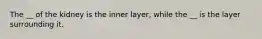 The __ of the kidney is the inner layer, while the __ is the layer surrounding it.