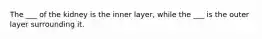 The ___ of the kidney is the inner layer, while the ___ is the outer layer surrounding it.