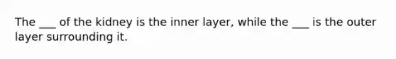 The ___ of the kidney is the inner layer, while the ___ is the outer layer surrounding it.