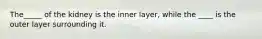 The_____ of the kidney is the inner layer, while the ____ is the outer layer surrounding it.