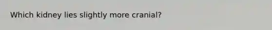 Which kidney lies slightly more cranial?