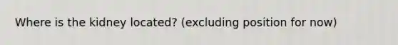 Where is the kidney located? (excluding position for now)