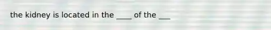 the kidney is located in the ____ of the ___