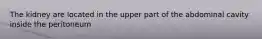 The kidney are located in the upper part of the abdominal cavity inside the peritoneum