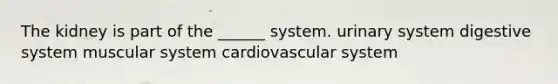 The kidney is part of the ______ system. urinary system digestive system muscular system cardiovascular system