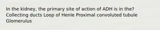 In the kidney, the primary site of action of ADH is in the? Collecting ducts Loop of Henle Proximal convoluted tubule Glomerulus