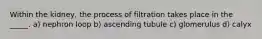 Within the kidney, the process of filtration takes place in the _____. a) nephron loop b) ascending tubule c) glomerulus d) calyx