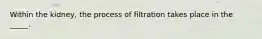 Within the kidney, the process of filtration takes place in the _____.