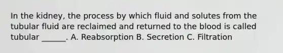 In the kidney, the process by which fluid and solutes from the tubular fluid are reclaimed and returned to the blood is called tubular ______. A. Reabsorption B. Secretion C. Filtration