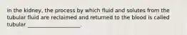 in the kidney, the process by which fluid and solutes from the tubular fluid are reclaimed and returned to the blood is called tubular ____________________.