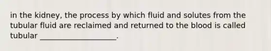 in the kidney, the process by which fluid and solutes from the tubular fluid are reclaimed and returned to <a href='https://www.questionai.com/knowledge/k7oXMfj7lk-the-blood' class='anchor-knowledge'>the blood</a> is called tubular ____________________.